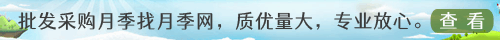 月季網(wǎng)