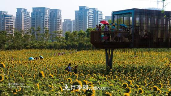 尤傳楷：大園林觀是園林人的奮斗方向(圖8)