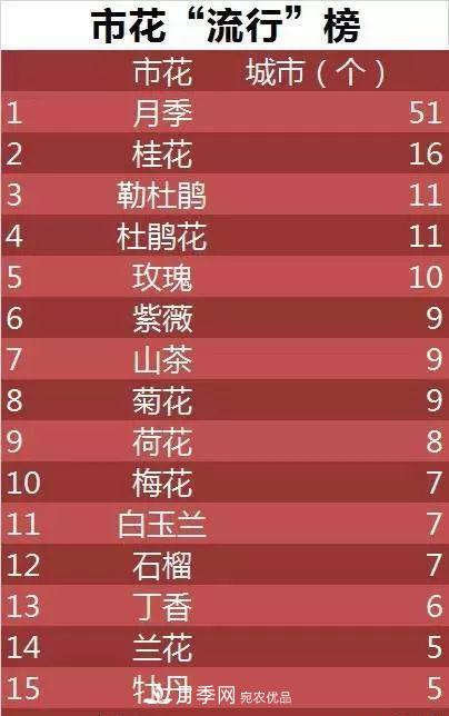 中國各城市市花大集合！月季是51個城市市花具首位(圖3)