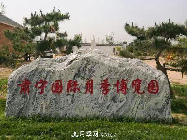 被稱京南***美花園 河北滄州肅寧國際月季博覽園大觀(圖14)