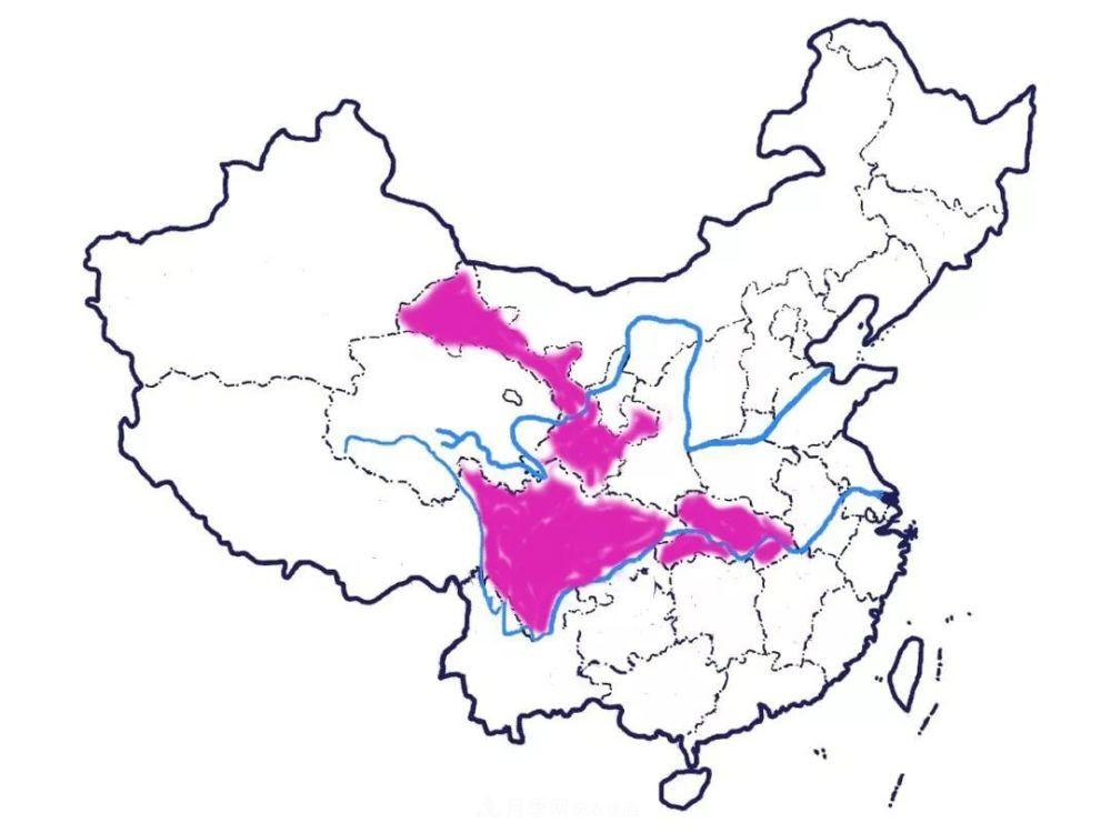 月季的前世今生 | 假如中國月季沒有傳入歐洲(圖8)