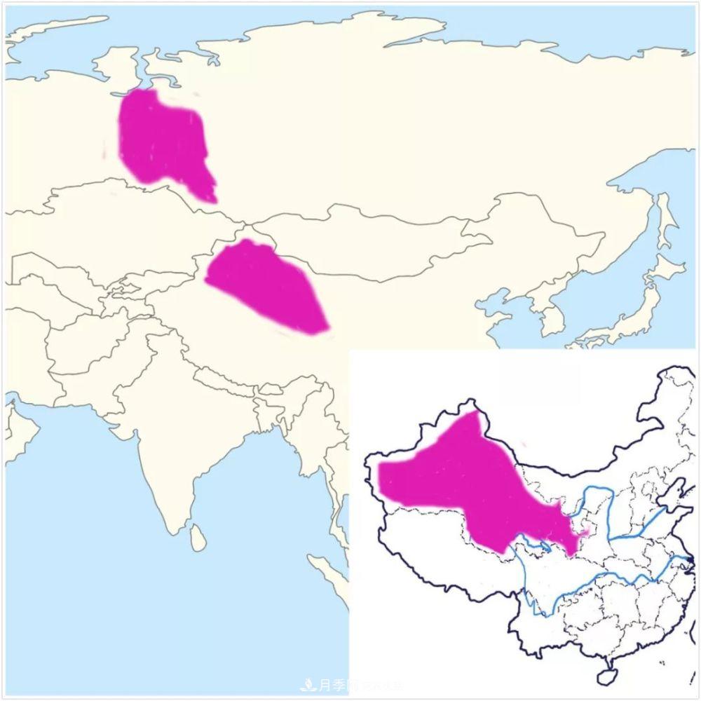 月季的前世今生 | 假如中國月季沒有傳入歐洲(圖22)