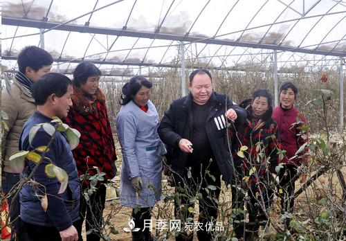 南陽(yáng)月季集團(tuán)總經(jīng)理李付昌——月季大觀園里的拓荒者(圖1)