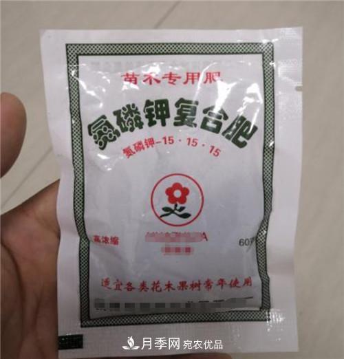 買月季花時贈送的小包肥料和生根粉是真是假？教你辨別(圖1)