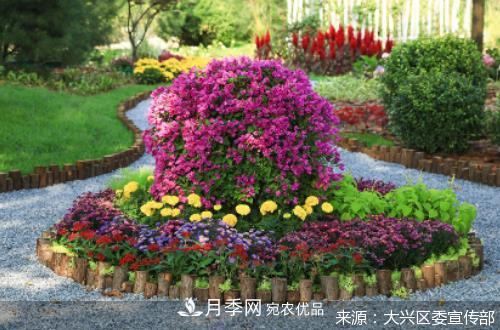 2020年北京市“職工技協(xié)杯”市花月季主題花園網(wǎng)絡(luò)設(shè)計(jì)大賽及造園大賽收官(圖1)