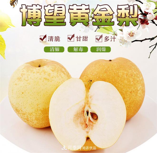 南陽特產(chǎn)：方城縣博望黃金梨(圖2)