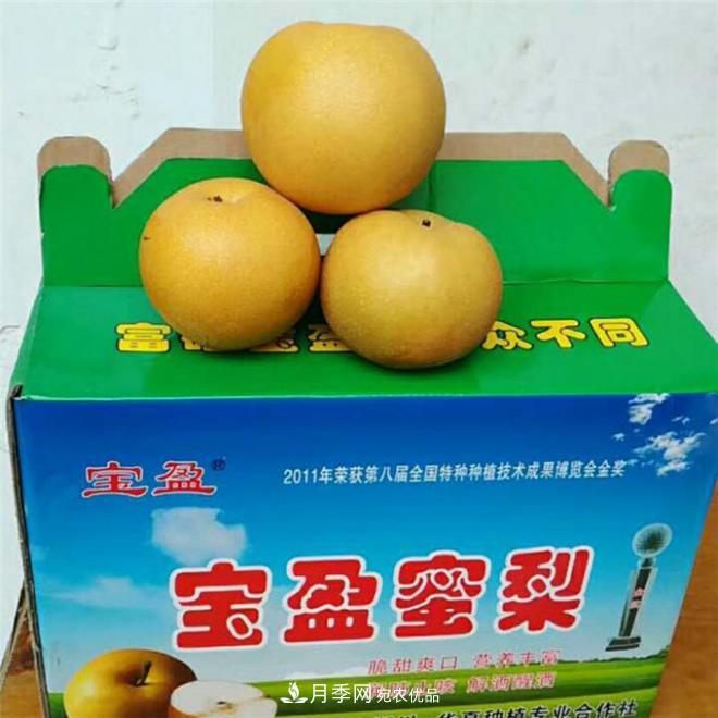 南水北調(diào)有機寶盈蜜梨，南陽淅川特產(chǎn)水果批發(fā)(圖3)