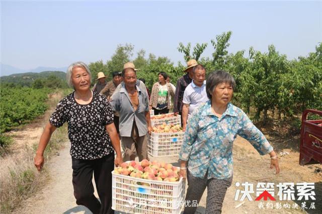 南陽(yáng)市南召縣南河店鎮(zhèn) 培育綠色農(nóng)業(yè)產(chǎn)業(yè)共享生態(tài)紅利(圖2)