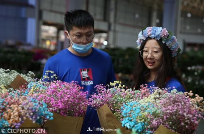 云南昆明：長(zhǎng)假“帶火”花卉經(jīng)濟(jì)(圖1)