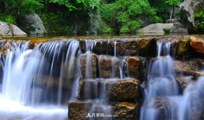 河南五個綠色“海洋”，在20度的森林中呼吸，讓你流連忘返(圖2)