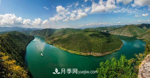 南陽淅川上集鎮(zhèn)養(yǎng)雞改種苗木綠化樹 照樣能致富(圖1)