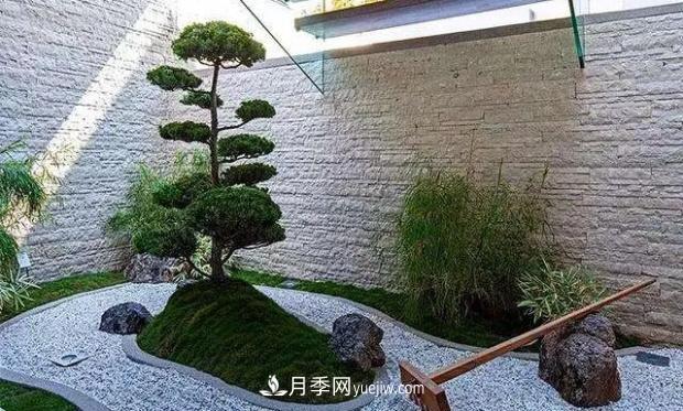 庭院種植花木時一定要注意避開這4種樹(圖2)