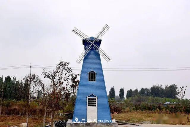 山東滕州北辛街道建成一座月季花海，總占地100畝真漂亮！(圖11)