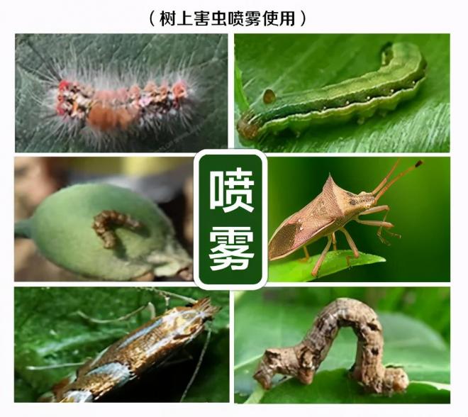 8種花木常用農(nóng)藥介紹，價(jià)格便宜效果很好(圖3)