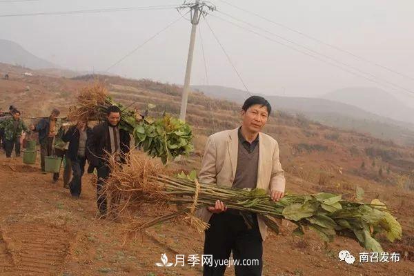 南召縣邱峰：玉蘭苗木脫貧攻堅(jiān)戰(zhàn)場上“***可愛的人”(圖1)