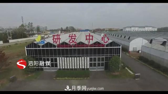 江蘇泗陽新境界花卉基地：“花樣”產業(yè)助力鄉(xiāng)村振興(圖1)