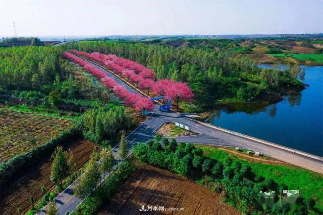 襄陽樊城區(qū)景觀“一號公路”下個月通車，顏值驚人！(圖1)