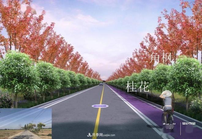 襄陽樊城區(qū)景觀“一號公路”下個月通車，顏值驚人！(圖5)