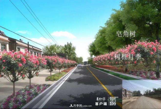 襄陽樊城區(qū)景觀“一號公路”下個月通車，顏值驚人！(圖8)