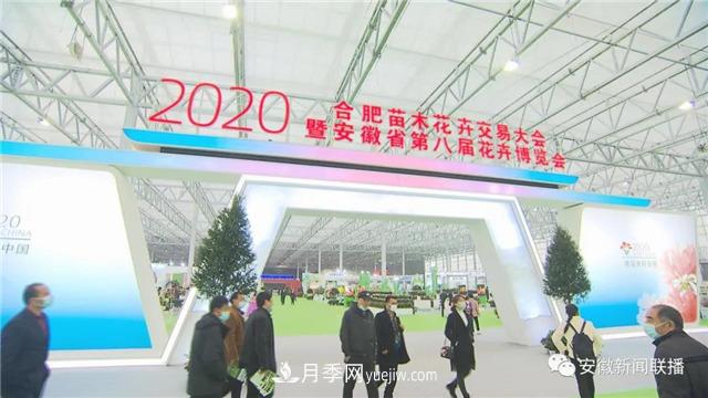 2600多種精品苗木花卉亮相2020合肥苗交會(huì)(圖1)