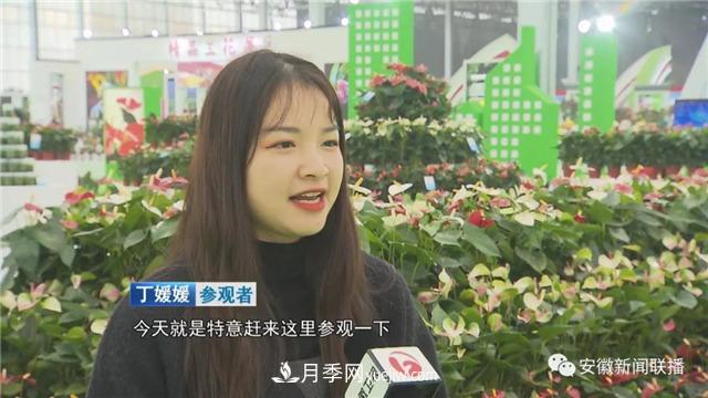 2600多種精品苗木花卉亮相2020合肥苗交會(huì)(圖2)