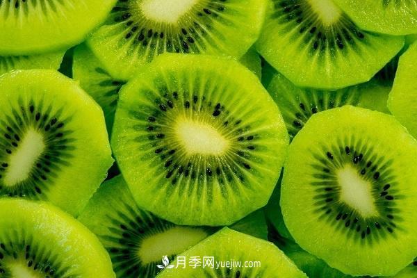 西峽獼猴桃的十大功效，對(duì)人體有哪些好處(圖1)