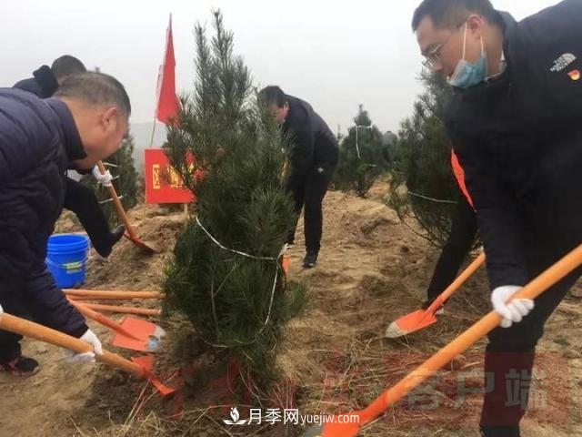 為冬日添新綠！南陽市開展千人義務(wù)植樹活動(圖1)