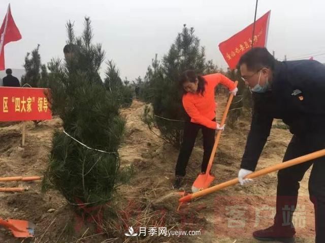 為冬日添新綠！南陽市開展千人義務(wù)植樹活動(圖2)