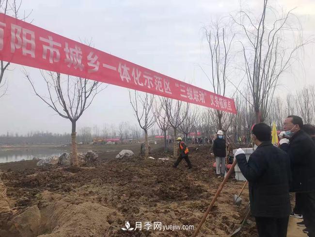 南陽月季大觀園西園建設(shè)提速：黨員干部開展冬季義務(wù)植樹(圖1)