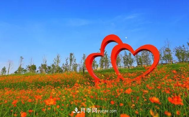 新余凱光植物園，新余人看月季的好地方(圖3)