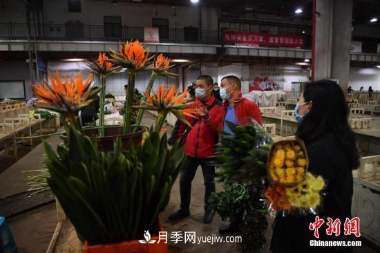 昆明斗南“亞洲花都”健步邁向世界花卉產(chǎn)業(yè)中心(圖1)