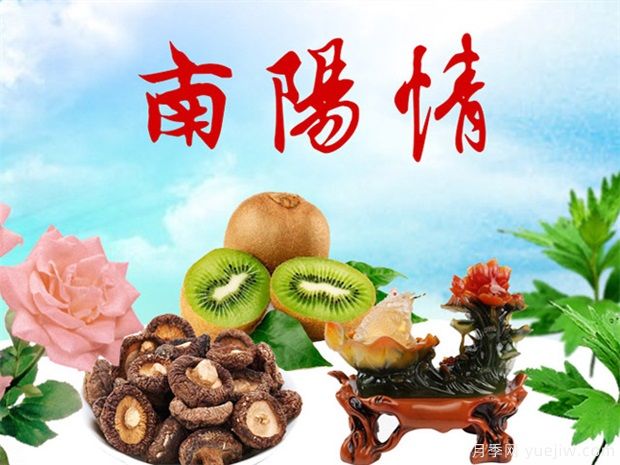 南陽鎮(zhèn)平：玉器觀賞魚 特色產業(yè)之花競相綻放(圖1)