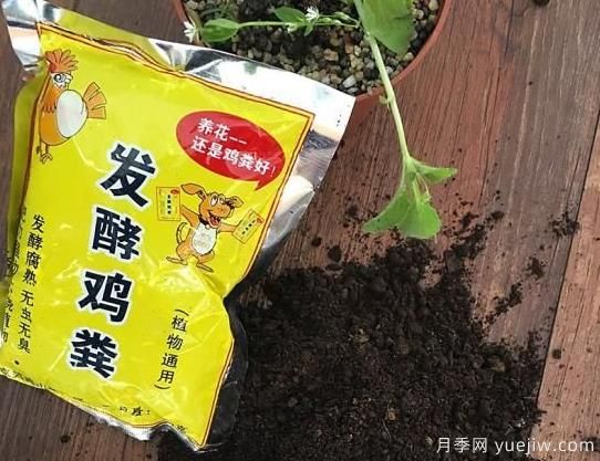 花卉綠植常用三大花肥分析，有機(jī)肥、無機(jī)肥、發(fā)酵各種糞(圖1)