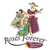 月季育種家：丹麥Rosa ApS月季苗圃(玫瑰永遠(yuǎn)Roses Forever)(圖1)