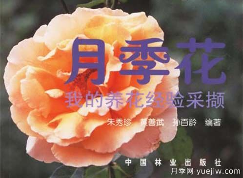 月季圖書：朱秀珍《月季花:我的養(yǎng)花經驗采擷》(圖1)