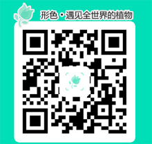 形色app，精準辨別花卉識別植物(圖1)