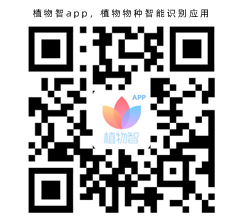 植物智app，植物物種智能識(shí)別應(yīng)用(圖1)