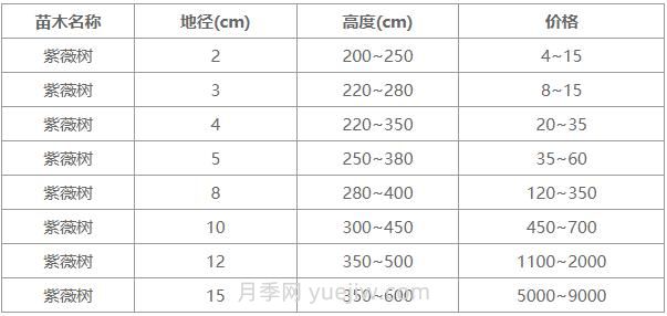 常用地徑4公分、5公分、10公分紫薇樹價格表(圖1)