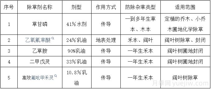 月季苗圃化學(xué)除草技術(shù)(圖2)