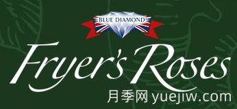 月季育種家：英國弗萊爾花園中心(Fryers Roses)(圖1)