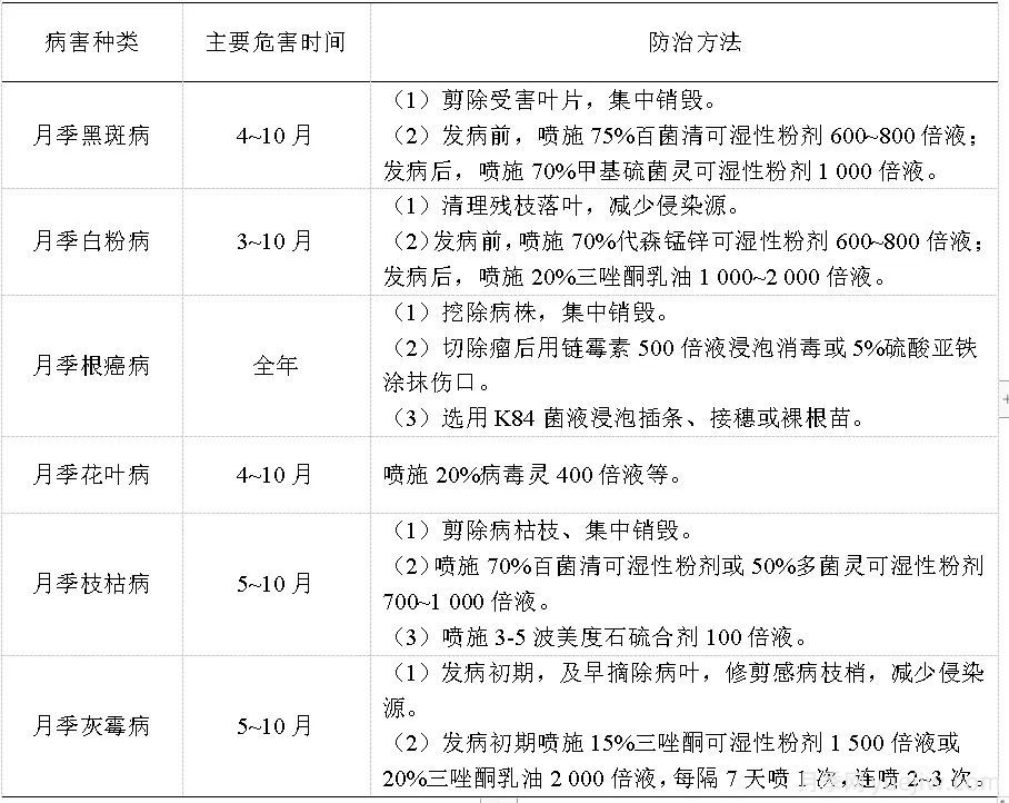 石家莊月季栽培養(yǎng)護技術規(guī)程(圖5)