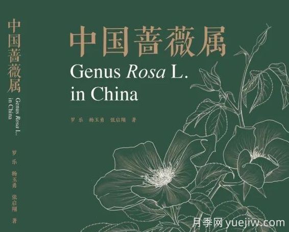 月季圖書(shū)：《中國(guó)薔薇屬》(圖1)