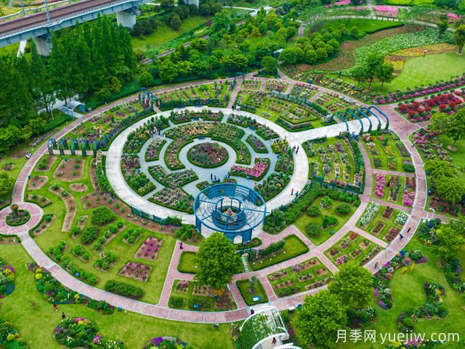 月季名園：寧波植物園月季園(圖1)