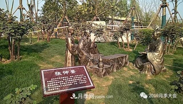 南陽(yáng)世界月季大觀園宛城展園(圖3)