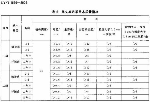 月季苗的質(zhì)量行業(yè)標(biāo)準(zhǔn)(圖2)