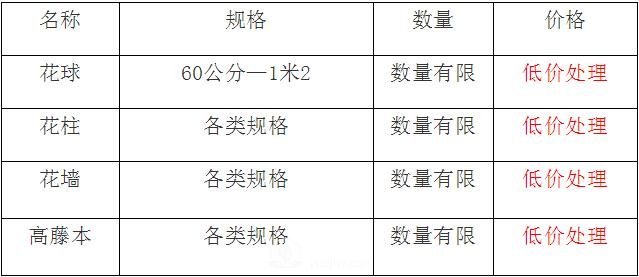 清地在即，部分造型月季品類月季價格短時間走低(圖1)