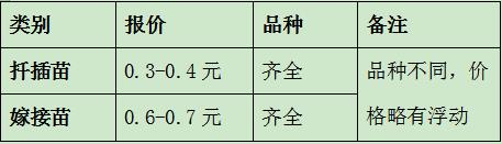 哪里可以批發(fā)月季種苗？扦插月季小苗多少錢一棵？(圖1)