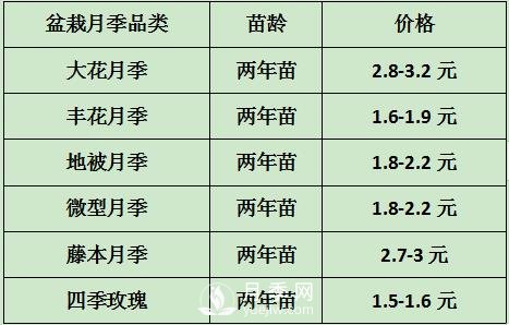 2021年春季盆栽月季市場(chǎng)報(bào)價(jià) 盆花月季多少錢一棵？(圖1)