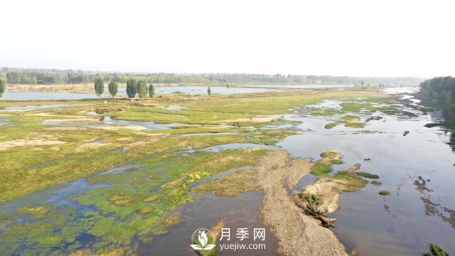 南陽市：保護濕地 你我同行(圖1)