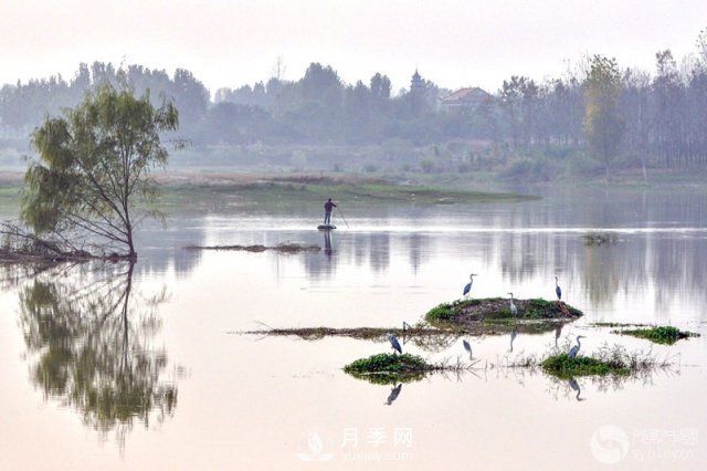 解讀南陽三水三山，助力綠色生態(tài)發(fā)展(圖5)